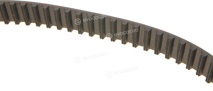 Dayco KTB119