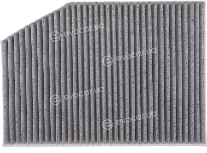 Solgy 104143