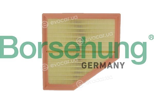 Borsehung B12695