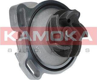 Kamoka T0275