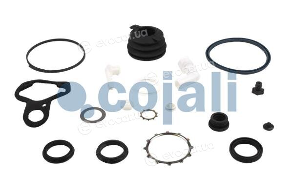 Cojali 6034026