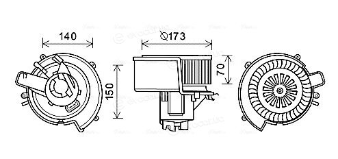 AVA OL8636