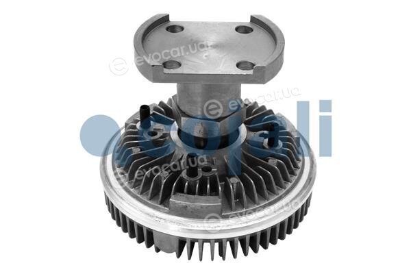 Cojali 7043156