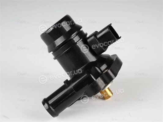 AVA OLTS010