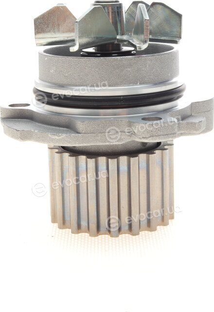 Continental WP6003