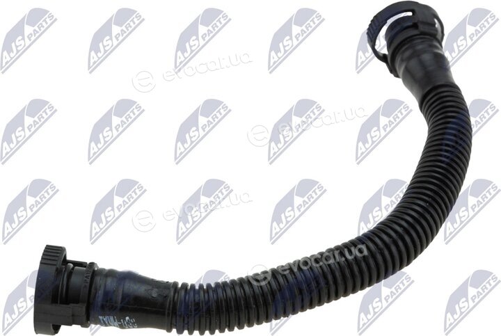 NTY GPP-VW-038