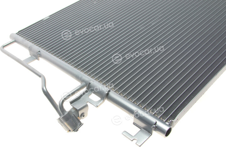 Van Wezel 58005277
