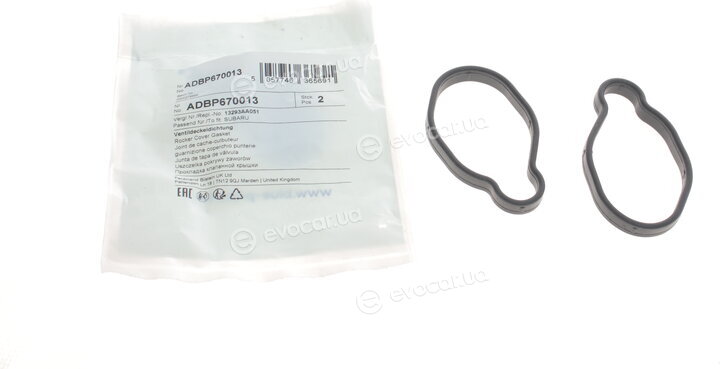 Blue Print ADBP670013