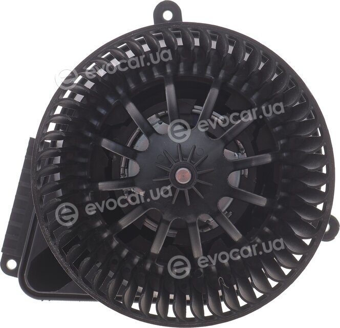 AIC 53036