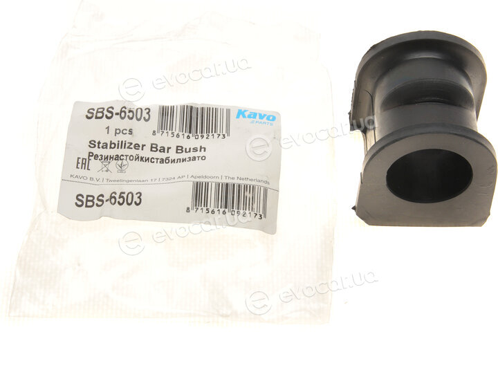Kavo SBS-6503
