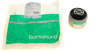 Borsehung B19064