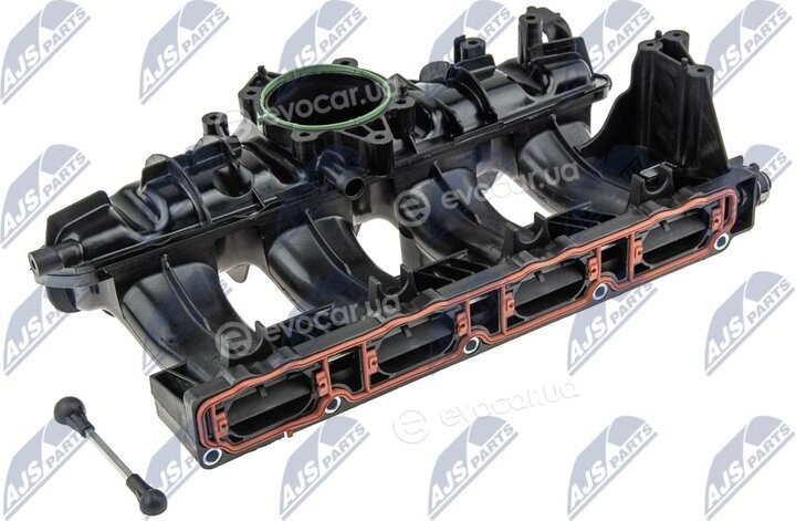 NTY BKS-VW-013