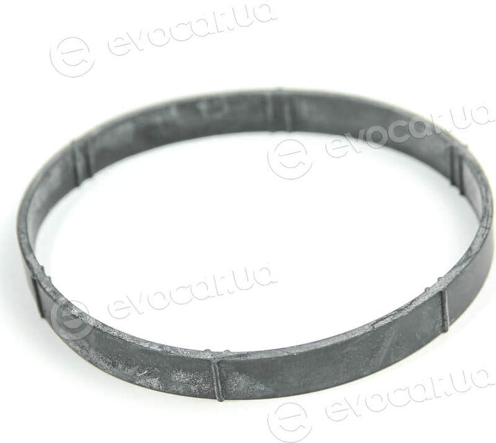 Elring 655.790