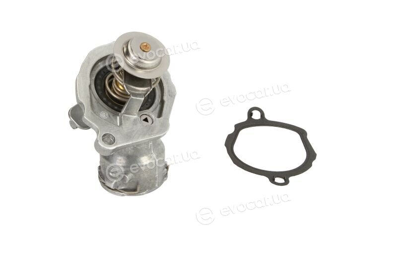 Mahle TM 29 100D