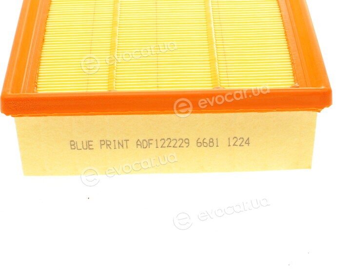 Blue Print ADF122229