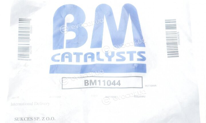 BM Catalysts BM11044