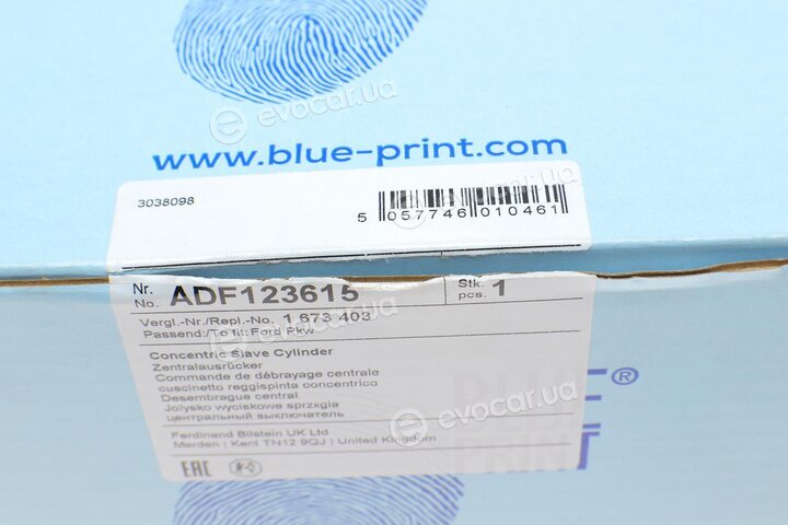 Blue Print ADF123615