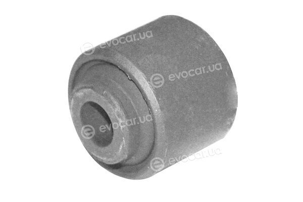 Tedgum TED63717