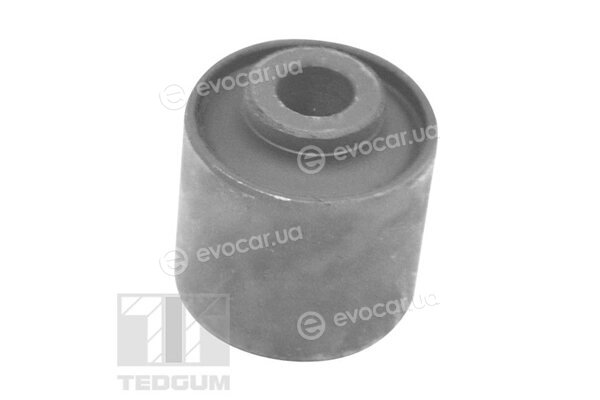 Tedgum TED54699