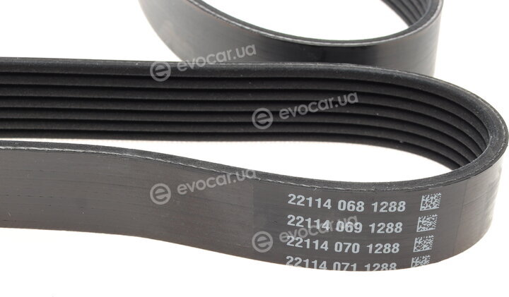 Dayco 7PK2000