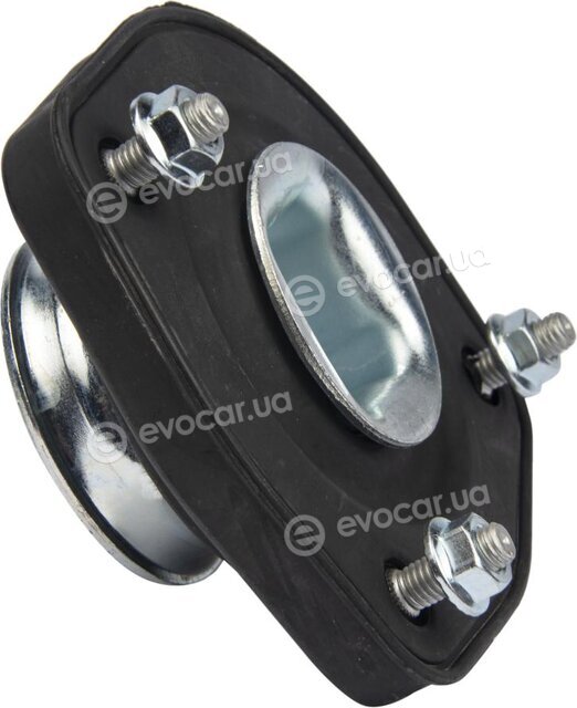 Raiso RC05239
