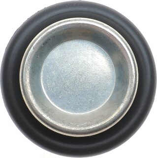 Delphi TS10282