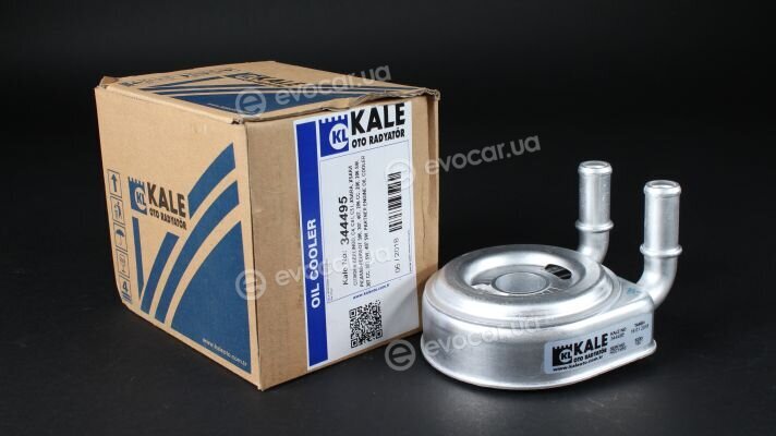 Kale 344495