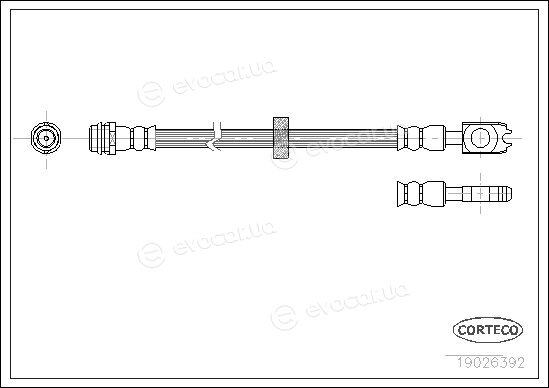 Corteco 19026392