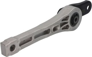 Reinhoch RH11-0154