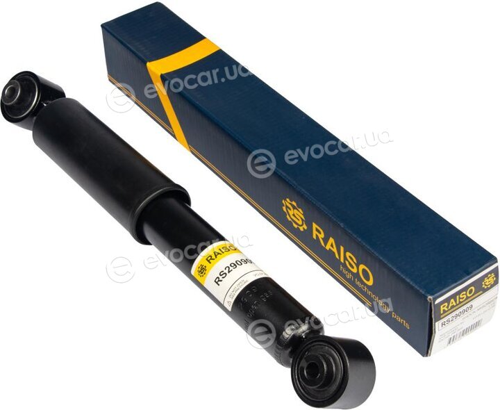 Raiso RS290909