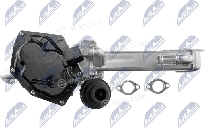 NTY EGR-VW-022