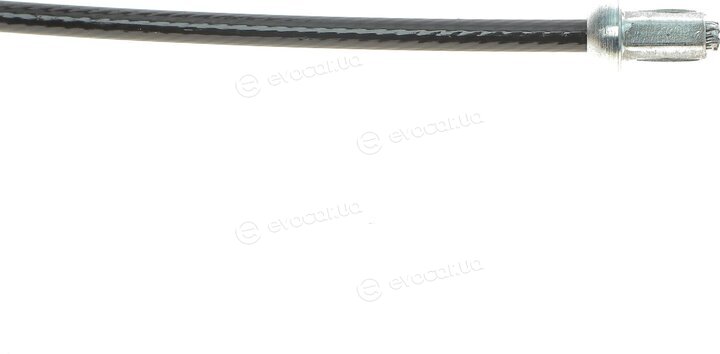 Solgy 219006