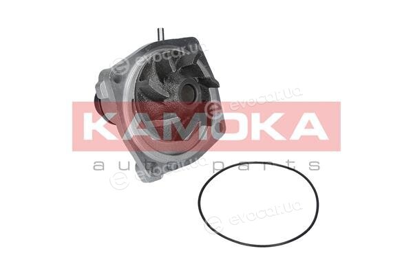 Kamoka T0006