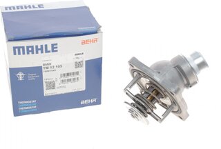 Mahle TM 12 105