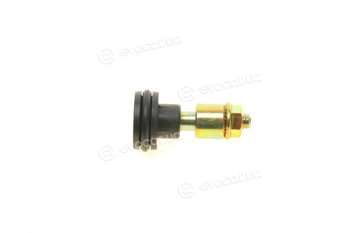 Solgy 306172
