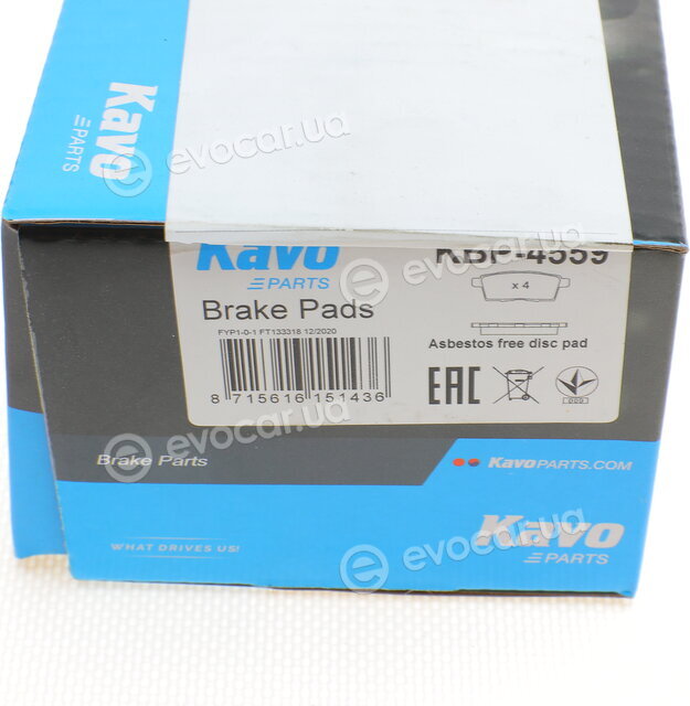 Kavo KBP-4559