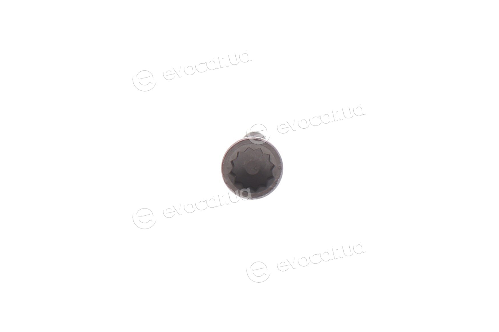 Corteco 016771B