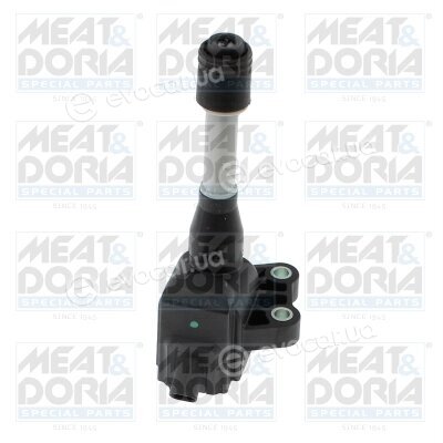 Meat & Doria 10908