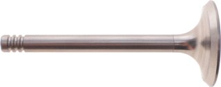 AMP PAUD033-S-0-N