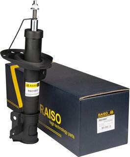 Raiso RS315837