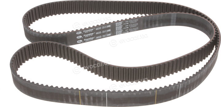Gates K025453XS