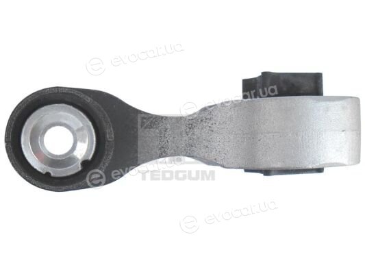 Tedgum 00507121