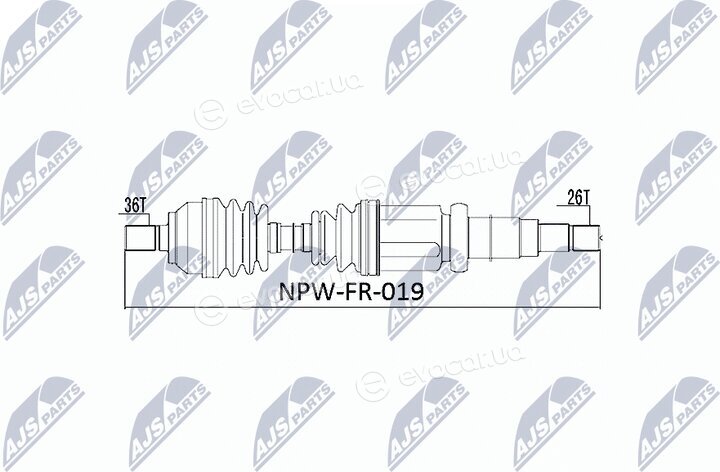 NTY NPW-FR-019