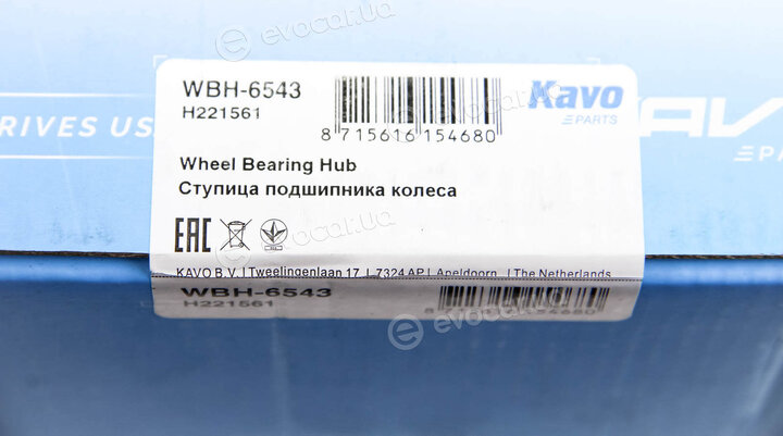 Kavo WBH-6543