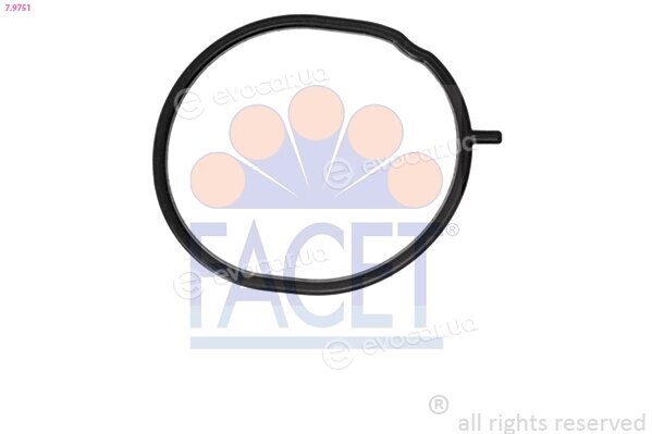 Facet 7.9751