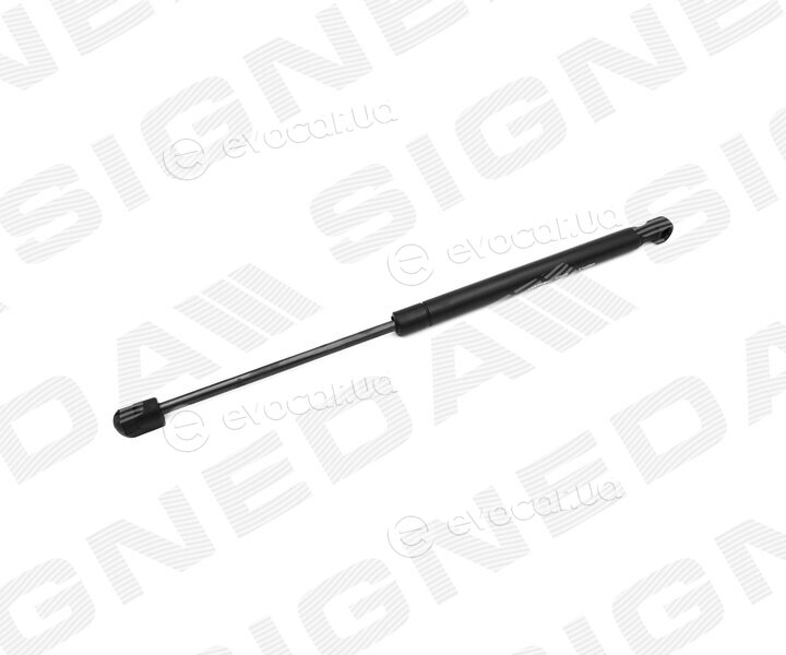 Signeda GS190110