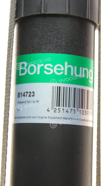 Borsehung B14723