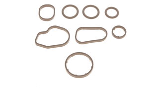 Solgy 112033