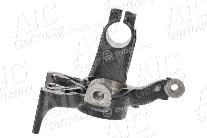AIC 57196