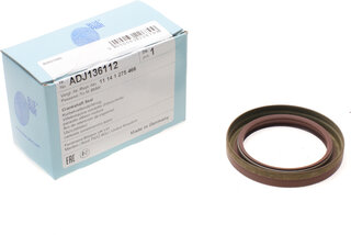 Blue Print ADJ136112
